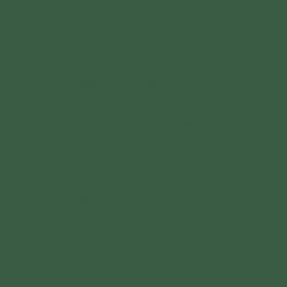 Viac inform�ci� o v�robku Serv�tok 40 x 40 cm 2vrstvov� tmavo zelen� (125�ks)
