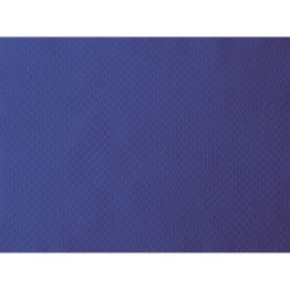 Viac inform�ci� o v�robku Prestierka 30 x 40 cm papier tmavo modr� (500�ks)