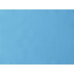 Viac inform�ci� o v�robku Prestierka 30 x 40 cm papier mentolov� (500�ks)