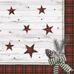 Viac inform�ci� o v�robku Serv�tok 40 x 40 cm BioDunisoft NATURALLY WINTER (60�ks)